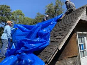 Roof Tarping