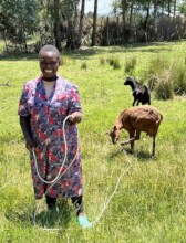 Faith enjoying rearing her livestock