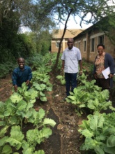 Vegetable garden - Mitaboni Special Unit