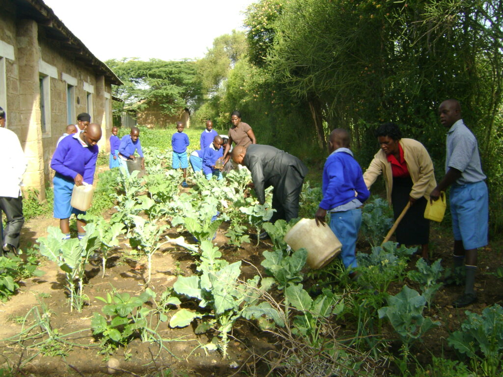 Education for children with disabilities, Kenya
