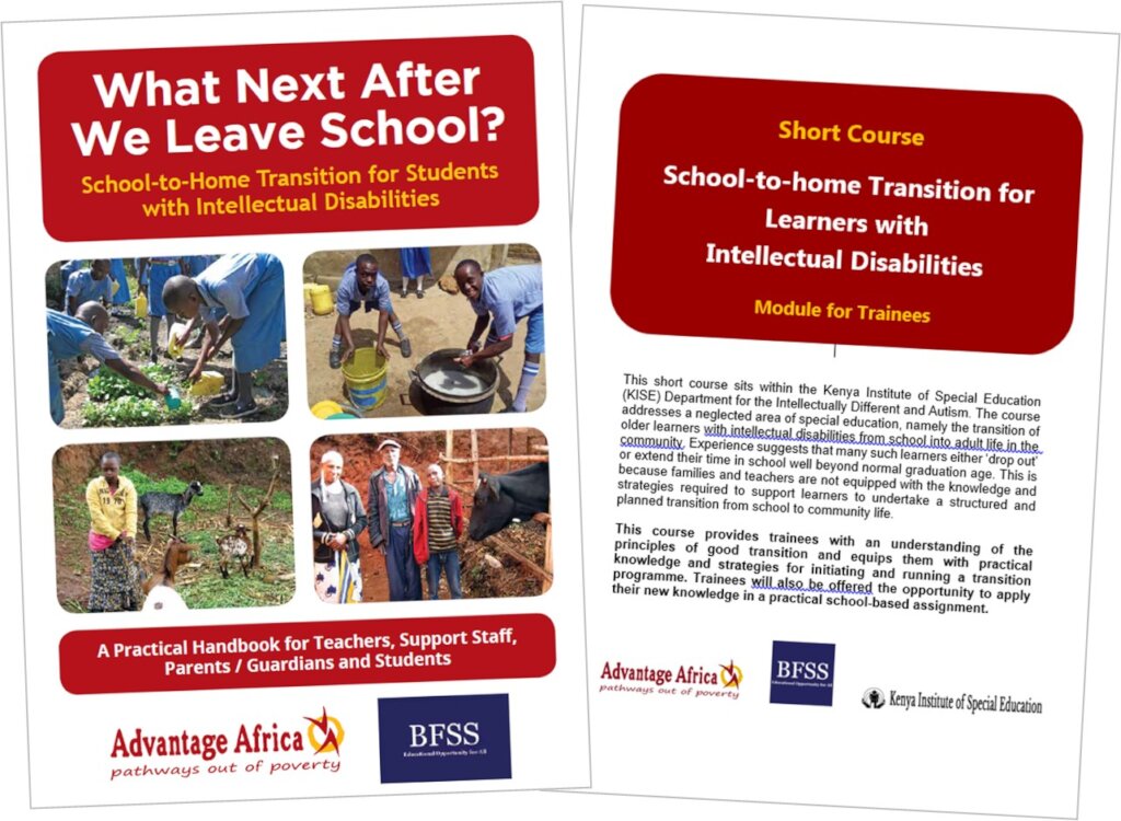 Education for children with disabilities, Kenya