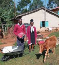 Oscar starts cow rearing enterprise at home