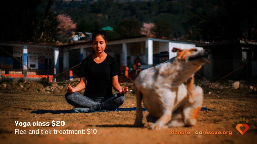 What are you Doing for the Holidays?