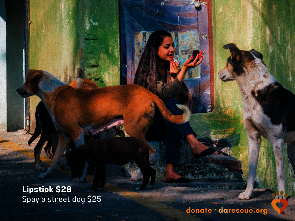 What are you Doing for the Holidays?