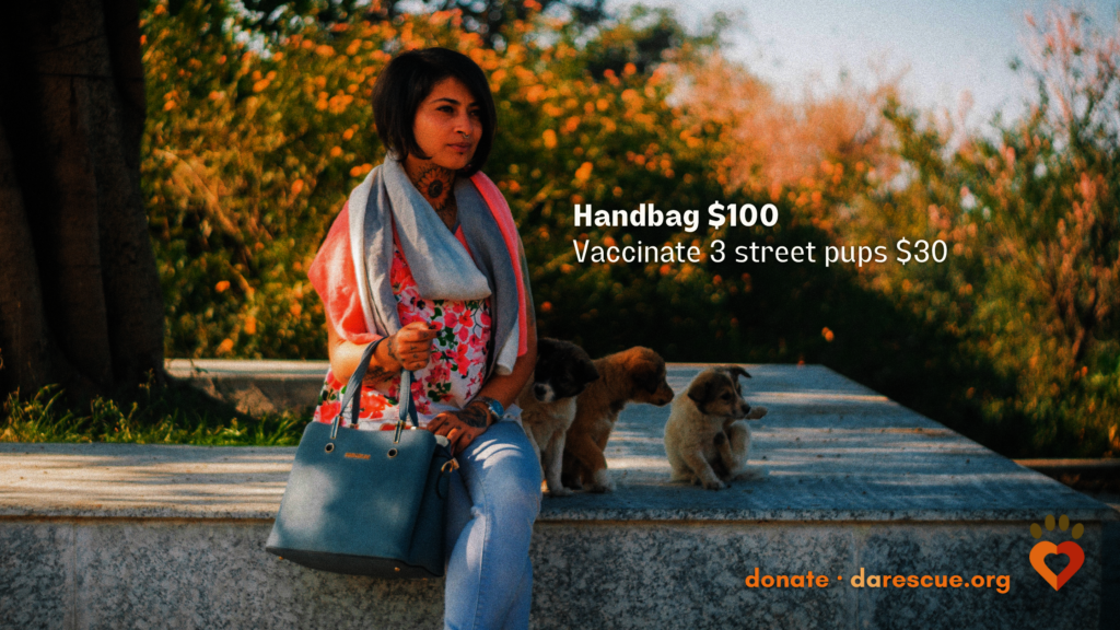 What are you Doing for the Holidays?