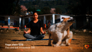 Yoga Class $20