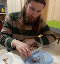 Preparing the seeds