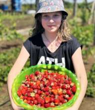 Our harvest