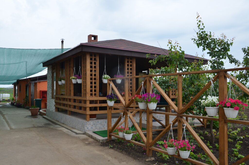 Help Social AgroBusiness of Rural Youth in Ukraine