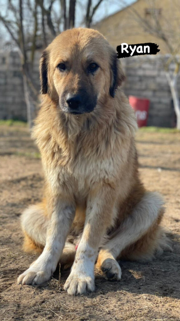 Help Casper & Friends Fly to Canada