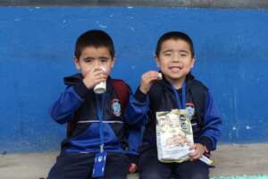 Nutrition and Wellness