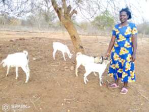 Kambua has a secure livelihood by keeping goats