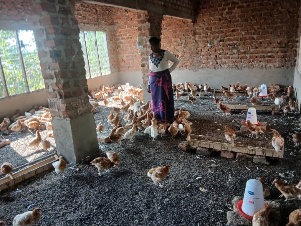 Poutry rearing group for 15 single parent families