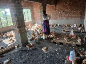 Poutry rearing group for 15 single parent families