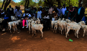 Goat rearing for people with disabilities