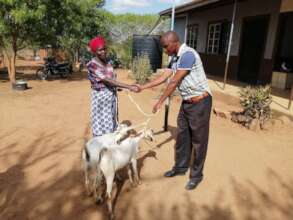 Constance receives her goats.