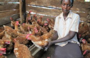 Better Lives for Vulnerable People in East Africa
