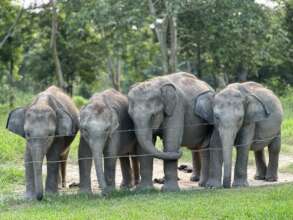 Dhola with his friends at CWRC: Second from left