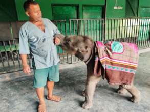 Dhola with his animal keeper.