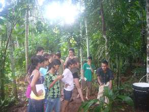 At the Organic Spice Farm
