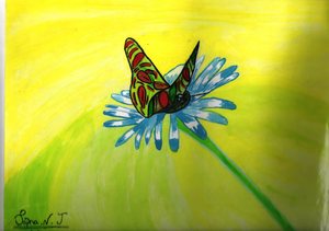 Pollination
