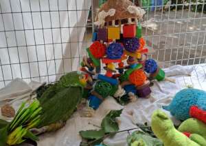 Toys are fabulous!
