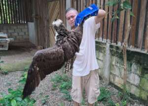 Checking the osprey before release