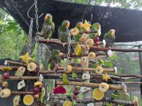 Enrichment is so important