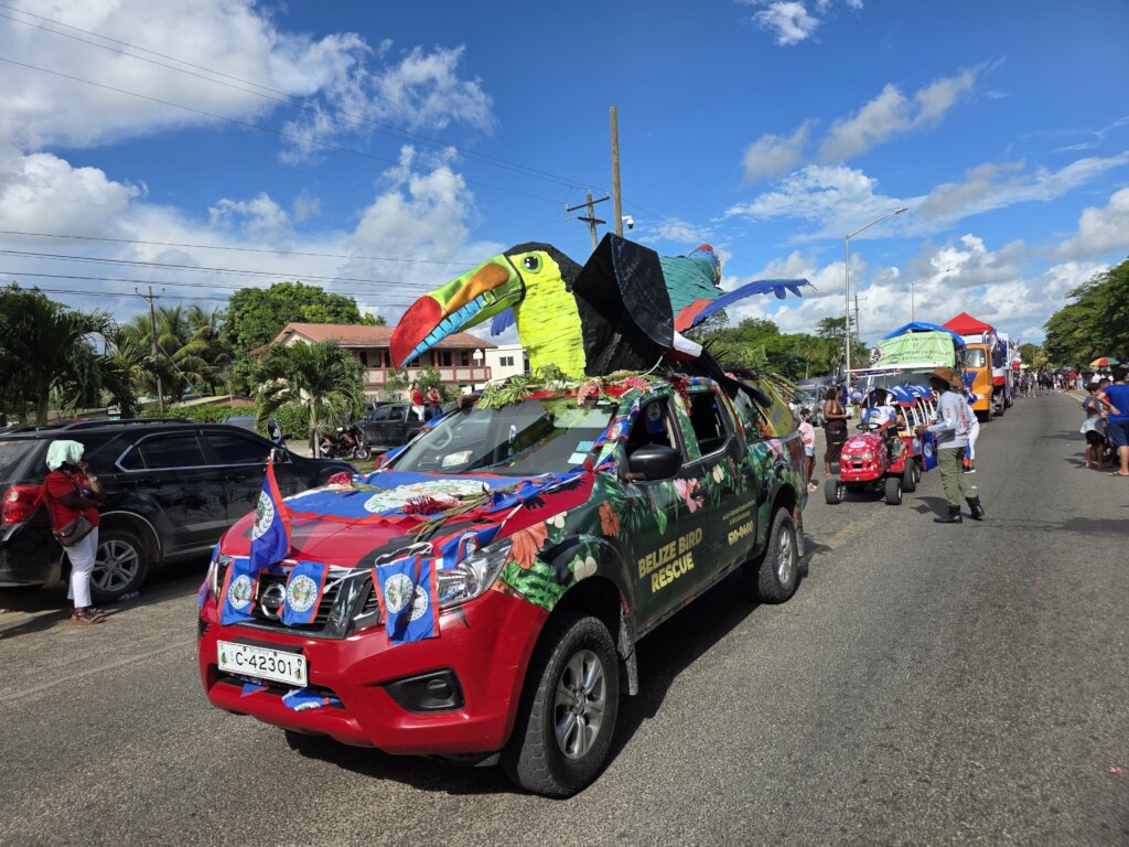 Belize Bird Rescue in the Independence parade!