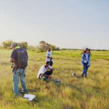 Yellow-headed parrot monitoring & protection team