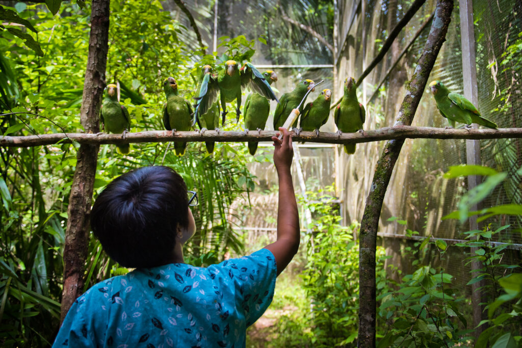 Saving Belize's Birds 2024