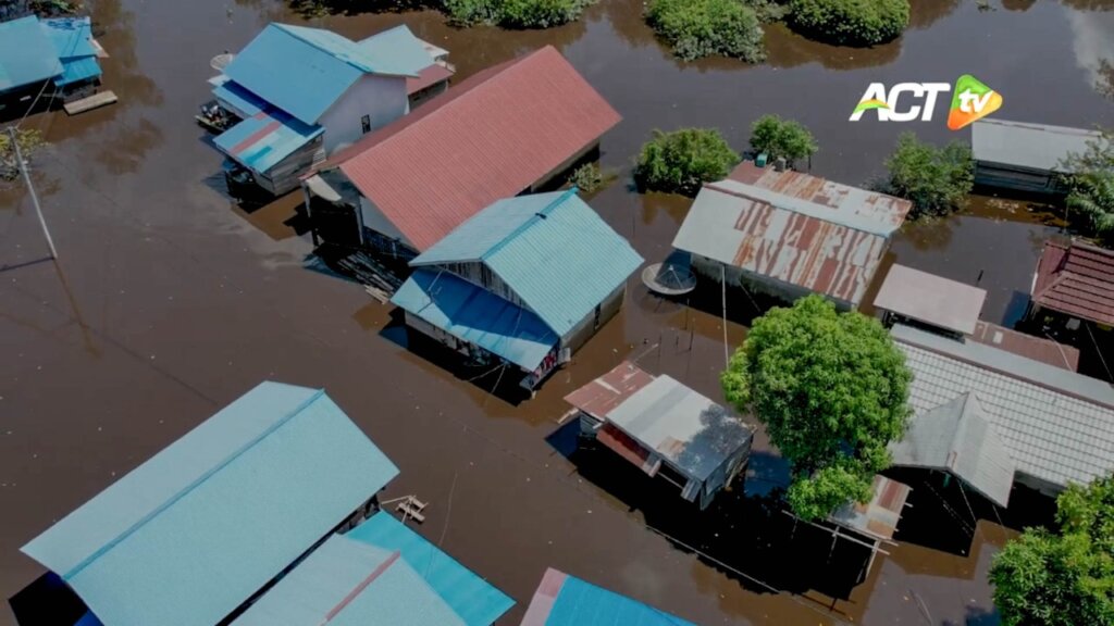 Indonesia Disaster Relief: Food Aid and Recovery Biology Diagrams