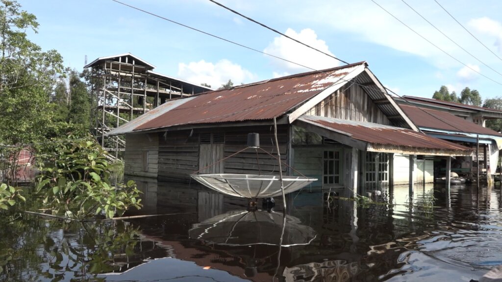 Indonesia Disaster Relief: Food Aid and Recovery