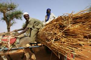 Giving farmers hope: Market day in Niger