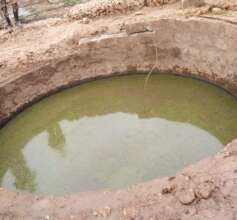 The borehole was too deep for the calf to escape