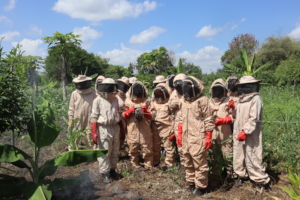 Honey harvesting training