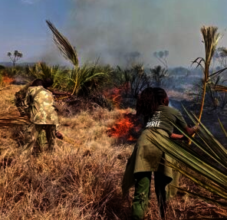 Fighting Wildfires
