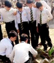 students during plantation drive