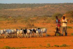 Poor natural resource cause poverty and conflict