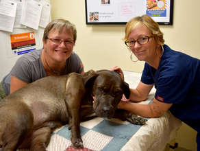Junebug donates to the Blood Bank!