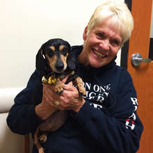 Dove Stray Kizzy reunited with her owner