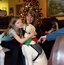 PACTT Dogs at Share Shelter