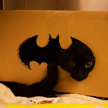 batman cat