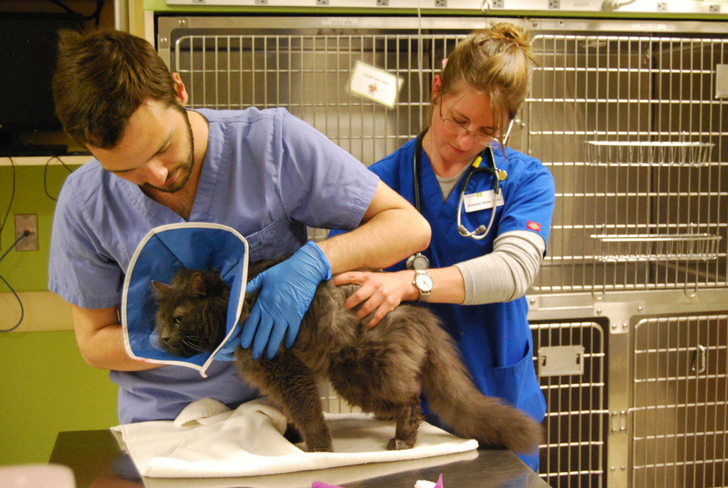 Save Thousands of Animal Lives in Oregon