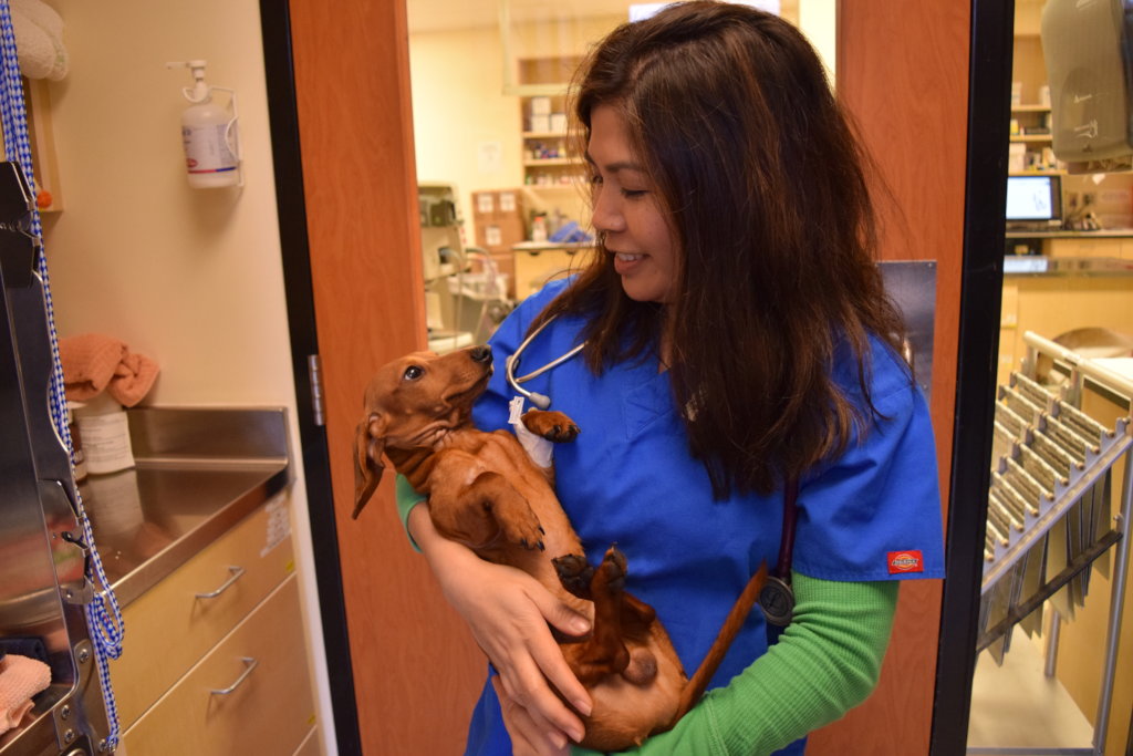 Save Thousands of Animal Lives in Oregon