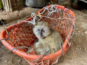 Nkonde was kept in a tiny basket (c) ZPP
