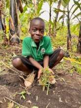 Planting the Bamboo