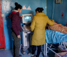 Drogha being trained on ultrasound