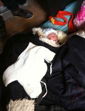 baby whose birth was attended by CHW