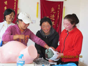 CHW Training